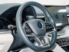 BYD Song PLUS New Energy 2021 DM-i 51KM Honor Type - фото 9