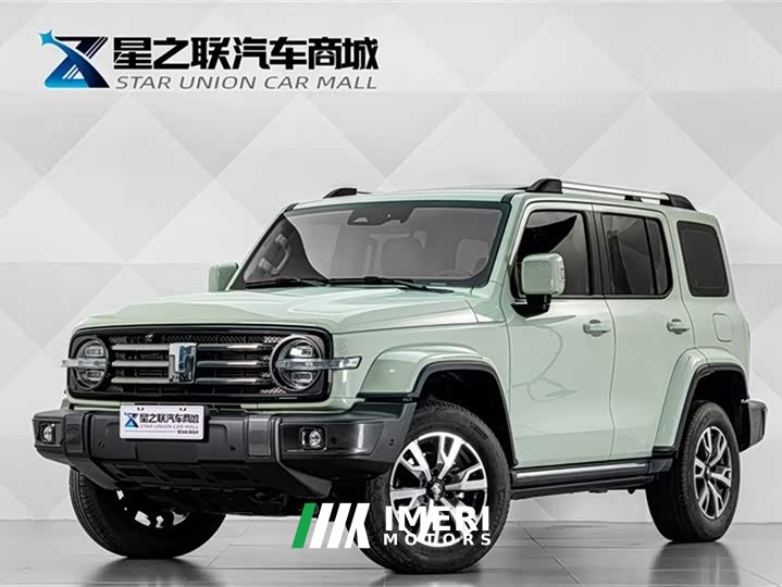 Tank 300 City Edition 2.0T Very Stylish - автомобиль из Китая