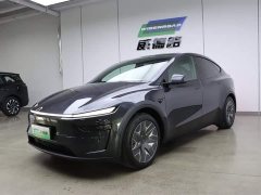 Tesla Model Y L 2025 long-range all-wheel drive version - фото 1
