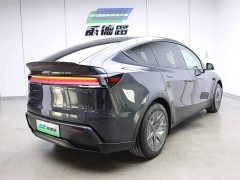 Tesla Model Y L 2025 long-range all-wheel drive version - фото 3