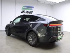 Tesla Model Y L 2025 long-range all-wheel drive version - фото 6