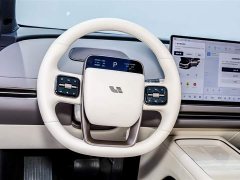 Li Auto Ideal i6 two-wheel drive standard version - фото 14
