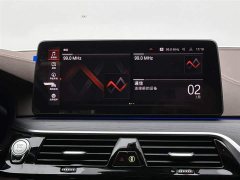 BMW 5 Series facelift 530Li leading M sports package - фото 13
