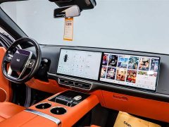 Li Auto Ideal L9 Pro - фото 13