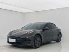 Tesla Model 3 2022 rear-wheel drive version - фото 1