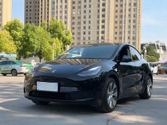 Tesla Model Y rear-wheel drive version - фото 1