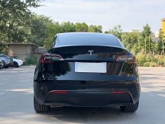 Tesla Model Y rear-wheel drive version - фото 13