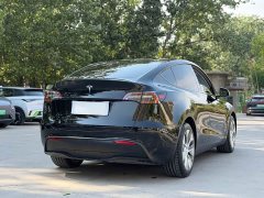 Tesla Model Y rear-wheel drive version - фото 14