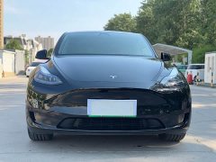Tesla Model Y rear-wheel drive version - фото 2