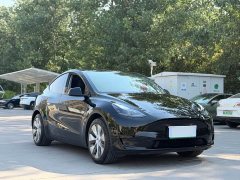 Tesla Model Y rear-wheel drive version - фото 3