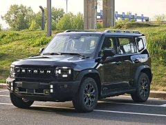 Jetour Traveler C-DM 2024 C-DM 206KM four-wheel drive mountain version - фото 1