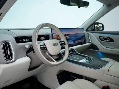 Geely Galaxy M9 230km 2WD Exploration Edition - фото 17