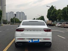 Tesla Xingrui 2023 2.0TD Premium - фото 9