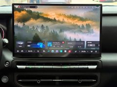 Tank 300 PHEV Hi4-T 37.1kWh - фото 14