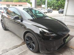 Tesla Model Y rear-wheel drive version - фото 1