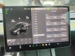 Tesla Model Y rear-wheel drive version - фото 3