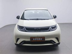 BYD Dolphin 2025 420km Free Edition - фото 3