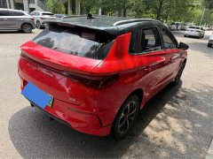 BYD e2 2020 Upgrade Version High-Range Premium Edition - фото 2