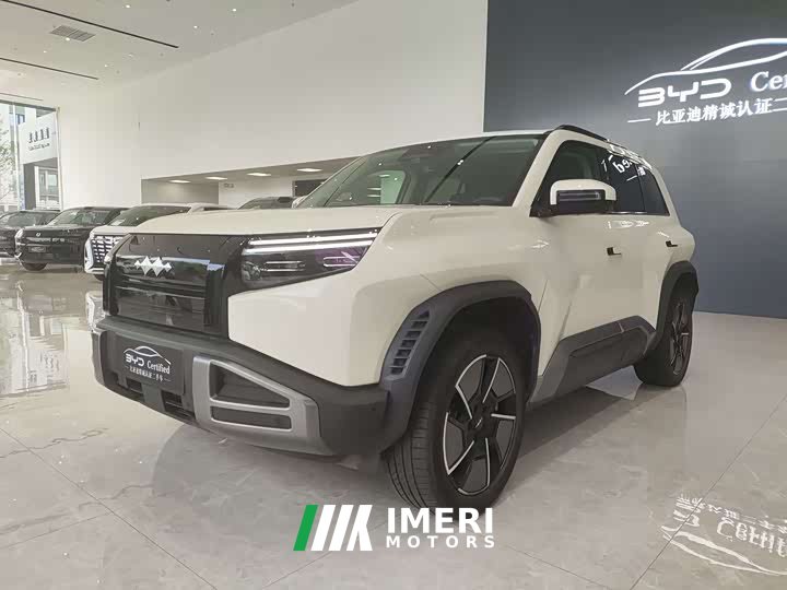 BMW Titanium 3 501KM four-wheel drive Ultra version - автомобиль из Китая