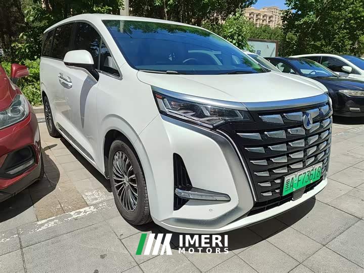 Denza D9 DM-i 980 four-wheel drive premium