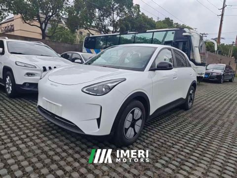 2025 Star Wishing 2025 310km Youth Edition - автомобиль из Китая
