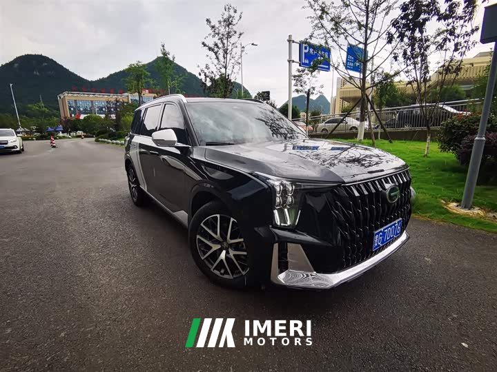 Trumpchi GS8 2022 Dual Engine Series 2.0TM Two-wheel drive Premium Edition (seven seats) - автомобиль из Китая
