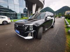 Trumpchi GS8 2022 Dual Engine Series 2.0TM Two-wheel drive Premium Edition (seven seats) - фото 2