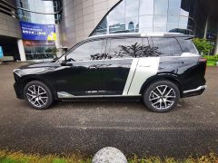 Trumpchi GS8 2022 Dual Engine Series 2.0TM Two-wheel drive Premium Edition (seven seats) - фото 4