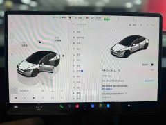 Tesla Model 3 2023 rear-wheel drive version - фото 5
