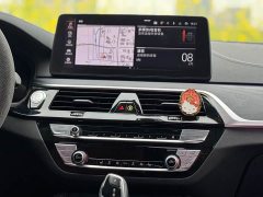 BMW 5 Series 530Li leading M sports package - фото 11