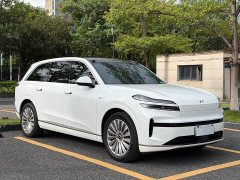 BMW Ledo L90 Max six-seater version - фото 3