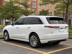 BMW Ledo L90 Max six-seater version - фото 6