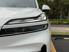 BMW Ledo L90 Max six-seater version - фото 8