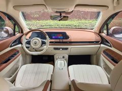 Lexus Euler Good Cat 401km standard battery life luxury lithium iron phosphate - фото 10