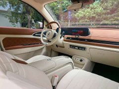 Lexus Euler Good Cat 401km standard battery life luxury lithium iron phosphate - фото 11