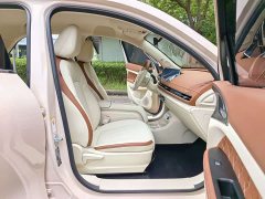 Lexus Euler Good Cat 401km standard battery life luxury lithium iron phosphate - фото 13