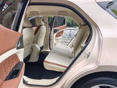 Lexus Euler Good Cat 401km standard battery life luxury lithium iron phosphate - фото 14