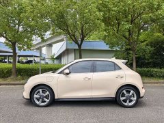 Lexus Euler Good Cat 401km standard battery life luxury lithium iron phosphate - фото 4