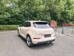 Lexus Euler Good Cat 401km standard battery life luxury lithium iron phosphate - фото 5
