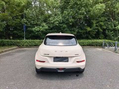 Lexus Euler Good Cat 401km standard battery life luxury lithium iron phosphate - фото 6