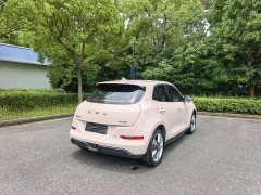 Lexus Euler Good Cat 401km standard battery life luxury lithium iron phosphate - фото 7