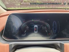 Lexus Euler Good Cat 401km standard battery life luxury lithium iron phosphate - фото 8