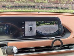 Lexus Euler Good Cat 401km standard battery life luxury lithium iron phosphate - фото 9