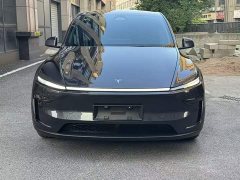 Tesla Model Y rear-wheel drive version - фото 2