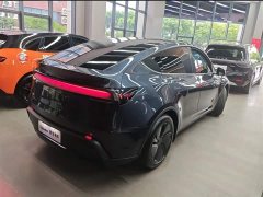 Tesla Model Y rear-wheel drive version - фото 9