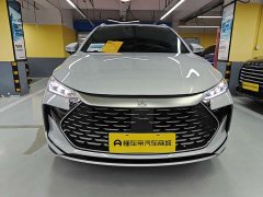 BYD Tangxin Energy Smart Driving Edition DM-i 115KM Honor Type - фото 1