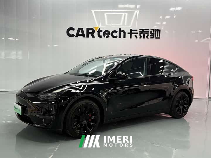 Tesla Model Y 2021 standard range rear-wheel drive version - автомобиль из Китая