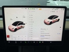 Tesla Model Y 2021 standard range rear-wheel drive version - фото 12