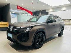 Volkswagen Touron Pro 450TSI four-wheel drive peak version - фото 1