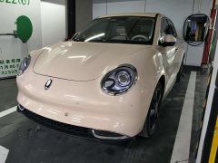 ORA Good Cat 401km Premium 126kW - фото 1